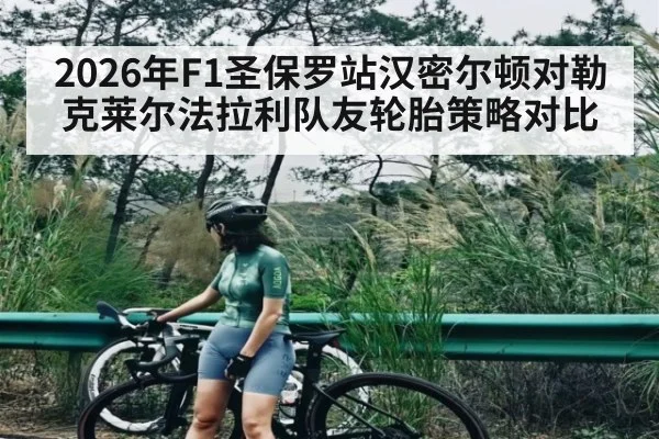 2026年F1圣保罗站汉密尔顿对勒克莱尔法拉利队友轮胎策略对比